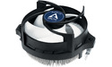 Arctic Alpine 23
