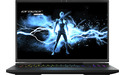 Medion Erazer Beast X40 (30035232)