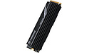 Transcend 250H Series Heatsink 4TB (M.2 2280)