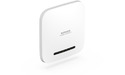 Netgear WAX214-200EUS