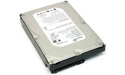 Seagate Barracuda 7200.10 750GB