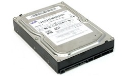 Samsung Spinpoint T133 400GB