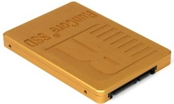 RunCore Kylin II 100GB