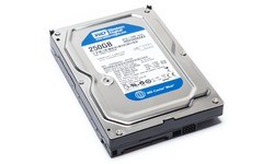 Western Digital Blue 250GB (16MB)