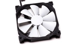 Phanteks PH-F140XP 140mm PWM Black/White