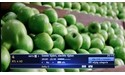Panasonic TX-P42ST30