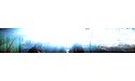 Battlefield 4 (PC)