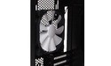 Phanteks Enthoo Pro Window