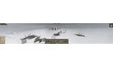 Total War: Attila (PC)