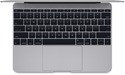 Apple MacBook 12" Retina Space Grey (MJY32N/A)