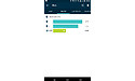 Fitbit Surge Large Black