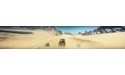 Mad Max (PC)