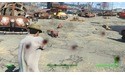 Fallout 4 (PC)