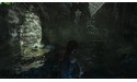 Rise of the Tomb Raider (PC)