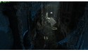 Rise of the Tomb Raider (PC)