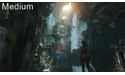 Rise of the Tomb Raider (PC)