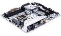 Asus Sabertooth Z170 S