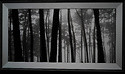 LG OLED65W7V