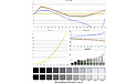 BTO-Notebooks BTO X-Book 15CL71