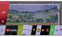 LG OLED55C8P