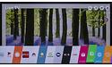 LG OLED55C8P