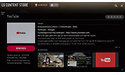 LG OLED55C8P