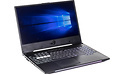 Asus RoG Strix Hero II GL504GM (i7-8750H)