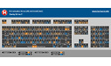 Ducky Shine 7