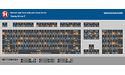 Ducky Shine 7