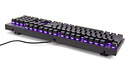 Cooler Master CK350 RGB Outemu-Red Black (US)