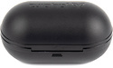 Jaybird Run XT Black/Flash