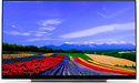 LG OLED55E9PLA