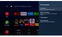 Sony Bravia KD-55AG8