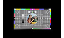 Panasonic TX-55GZW2004
