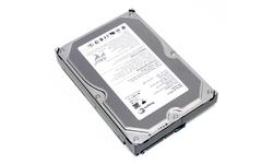 Seagate Barracuda 7200.8 250GB
