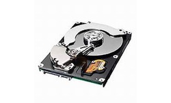 Samsung Spinpoint P80 160GB