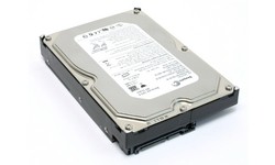Seagate Barracuda 7200.9 300GB
