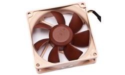 Noctua NF-R8 80mm