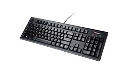 Labtec Standard Keyboard Plus PS/2 Black