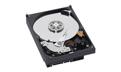 Western Digital Caviar Green 1TB (SATA2, 32MB)