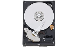 Western Digital Caviar Blue 500GB (SATA2, 16MB)