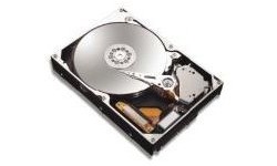 Maxtor MaXLine III 300GB SATA2
