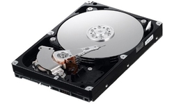 Samsung Spinpoint F1 750GB (16MB)
