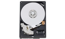 Western Digital AV-GP 500GB (SATA2, 32MB)
