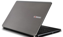Packard Bell Butterfly M-FU 001BE