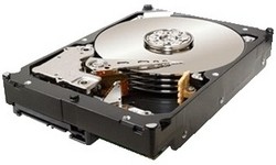 Seagate Constellation ES 1TB (SAS)