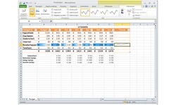Microsoft Office Home & Student 2010 NL (PKC)
