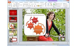 Microsoft Office Home & Business 2010 NL (PKC)