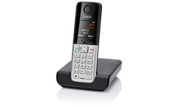 Gigaset C300