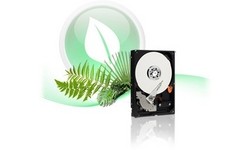 Western Digital Caviar Green 1TB (SATA3, 32MB)